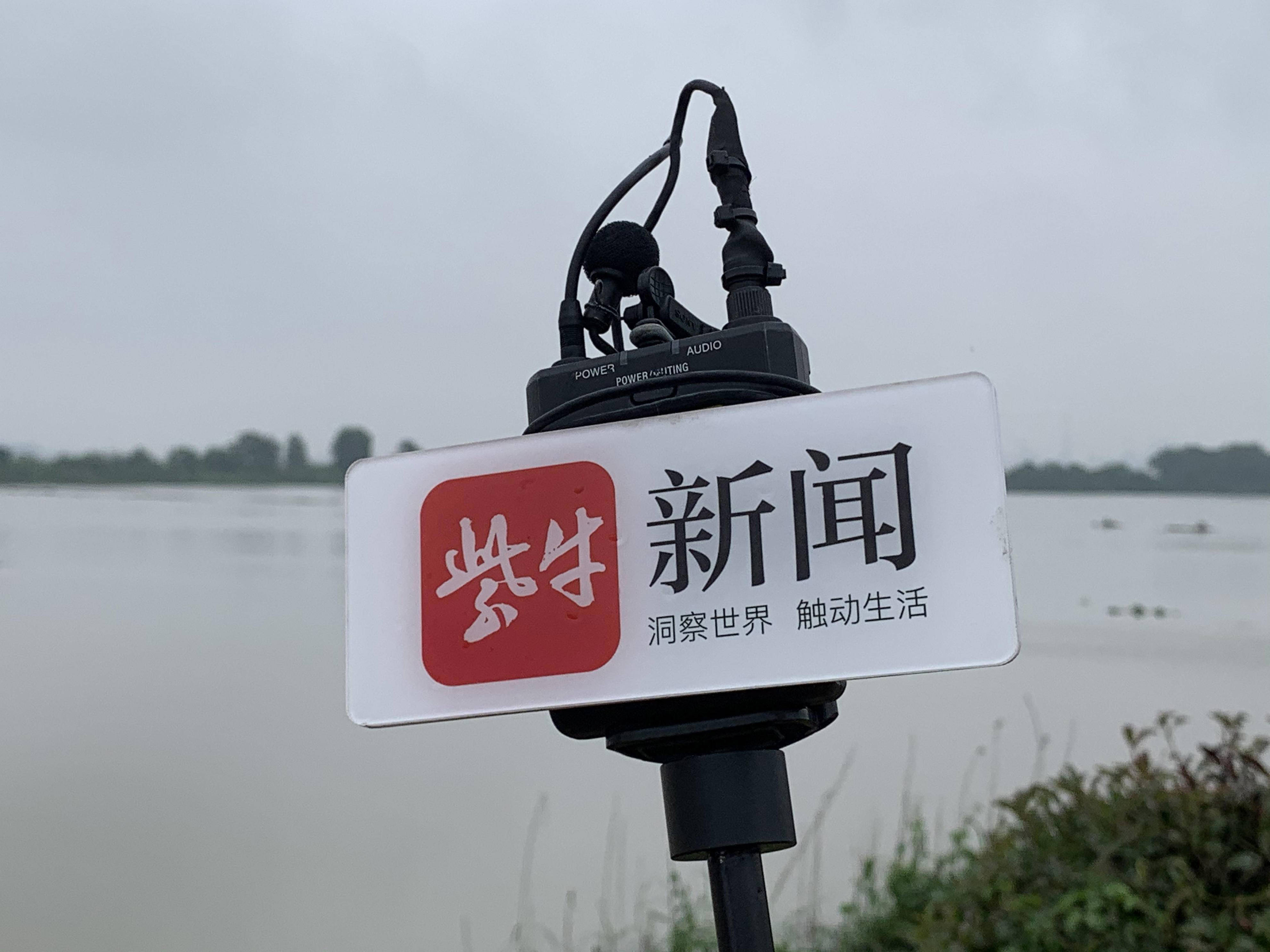 输了一起逛, yid